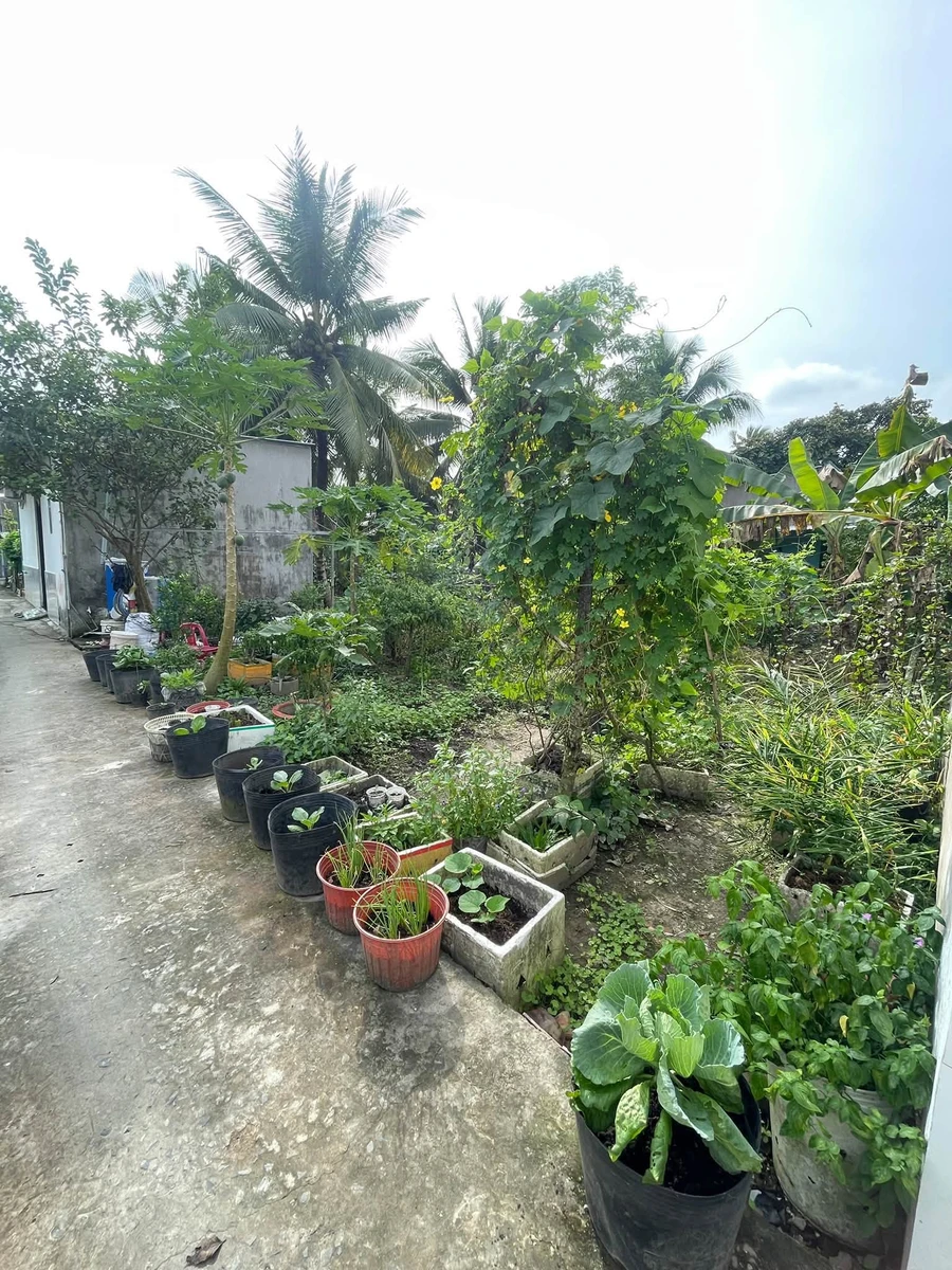 Bán nền Cái Răng 59,5m² sổ hồng 270 triệu - Ảnh thu nhỏ 4