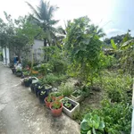 Bán nền Cái Răng 59,5m² sổ hồng 270 triệu - Ảnh thu nhỏ 4