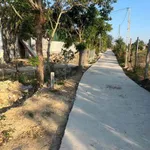 Bán lô đất thổ cư mặt tiền 222m² tại Lâm Đồng - Ảnh thu nhỏ 2