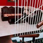 Bán nhà phố hai mặt tiền Cổ Loa, Phường 2, Lâm Đồng, 91m² - 9,5 tỷ - Ảnh thu nhỏ 4