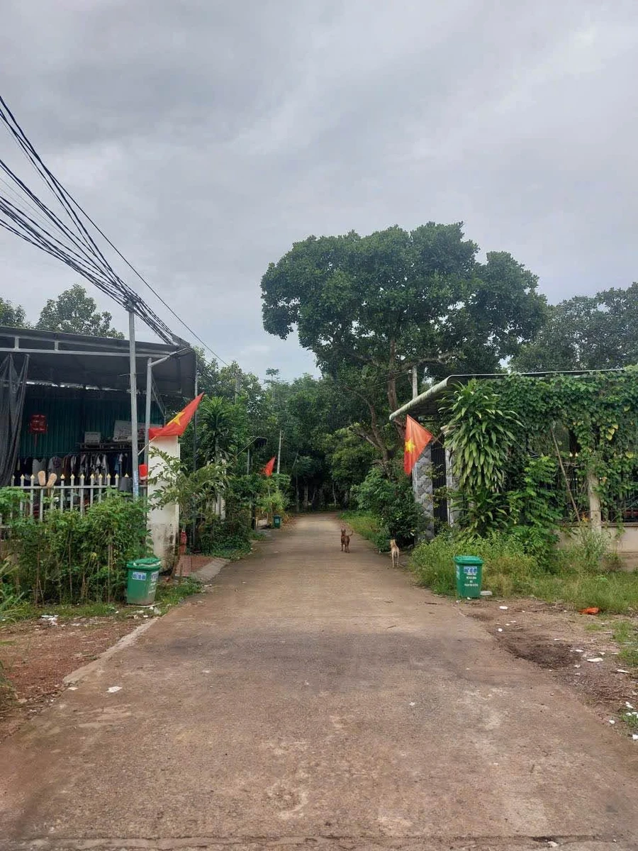 Bán lô đất 500m2 khu phố 2 Tiến Thành 1 tỷ 200 - Ảnh thu nhỏ 2