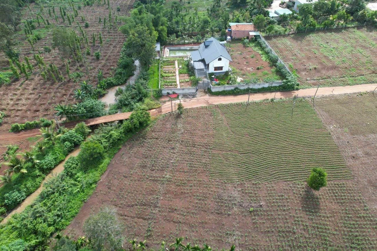 Bán đất sào view suối, 25x40m có 90m² thổ cư, xã Ea Tiêu, Đắk Lắk, giá 1,84 tỷ - Ảnh thu nhỏ 3