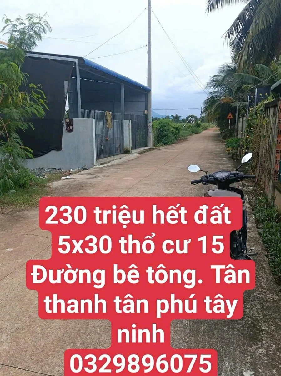 Bán đất 5x30m (150m2) thổ cư 15m2, đường bê tông, Tân Phú, Tây Ninh giá 230 triệu - Ảnh 1