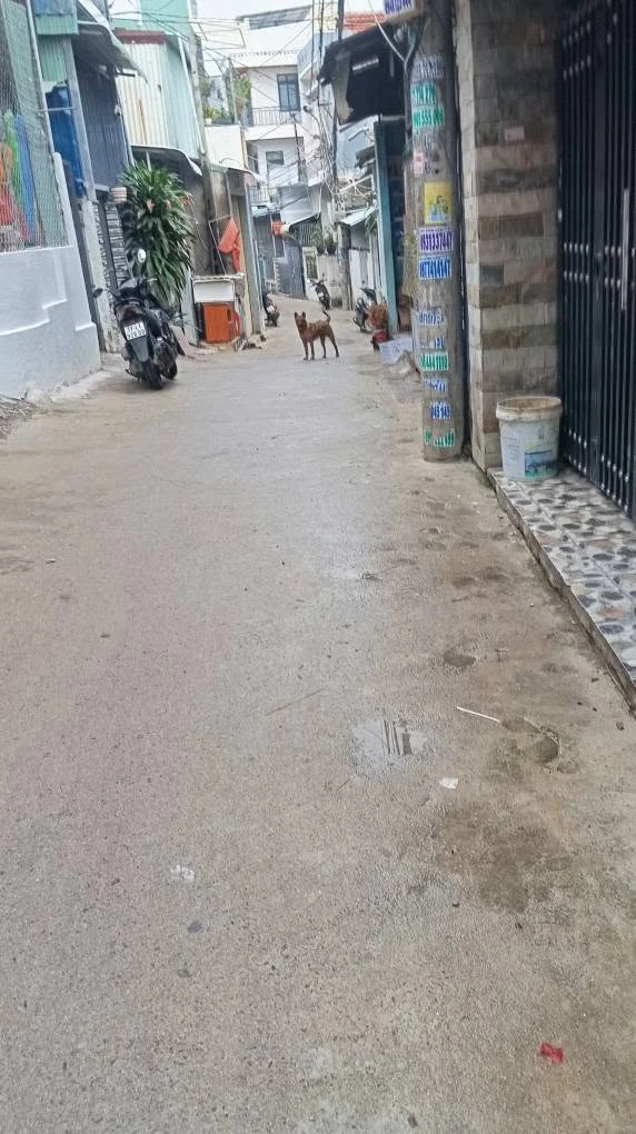 Bán nhà mới xây trung tâm Quy Nhơn, trệt 40m2 gác 40m2, 2 phòng ngủ, giá hơn 1 tỷ - Ảnh 1