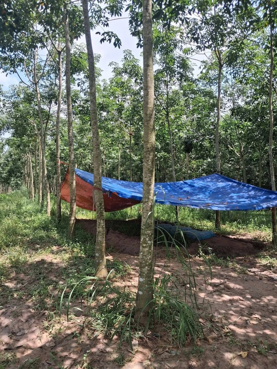 Bán đất 4 sào gần lò mỳ Suối Tre Hòa Hiệp 1,2 tỷ - Ảnh thu nhỏ 2