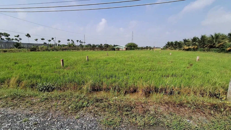 Bán 1.000m2 đất thổ cư và đất lúa gần ngã tư Lạc Tấn, giá 1,25 tỷ