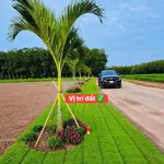Bán đất 100m2 đường Số 14 Minh Lập, Bình Chánh, giá 380 triệu - Ảnh thu nhỏ 2