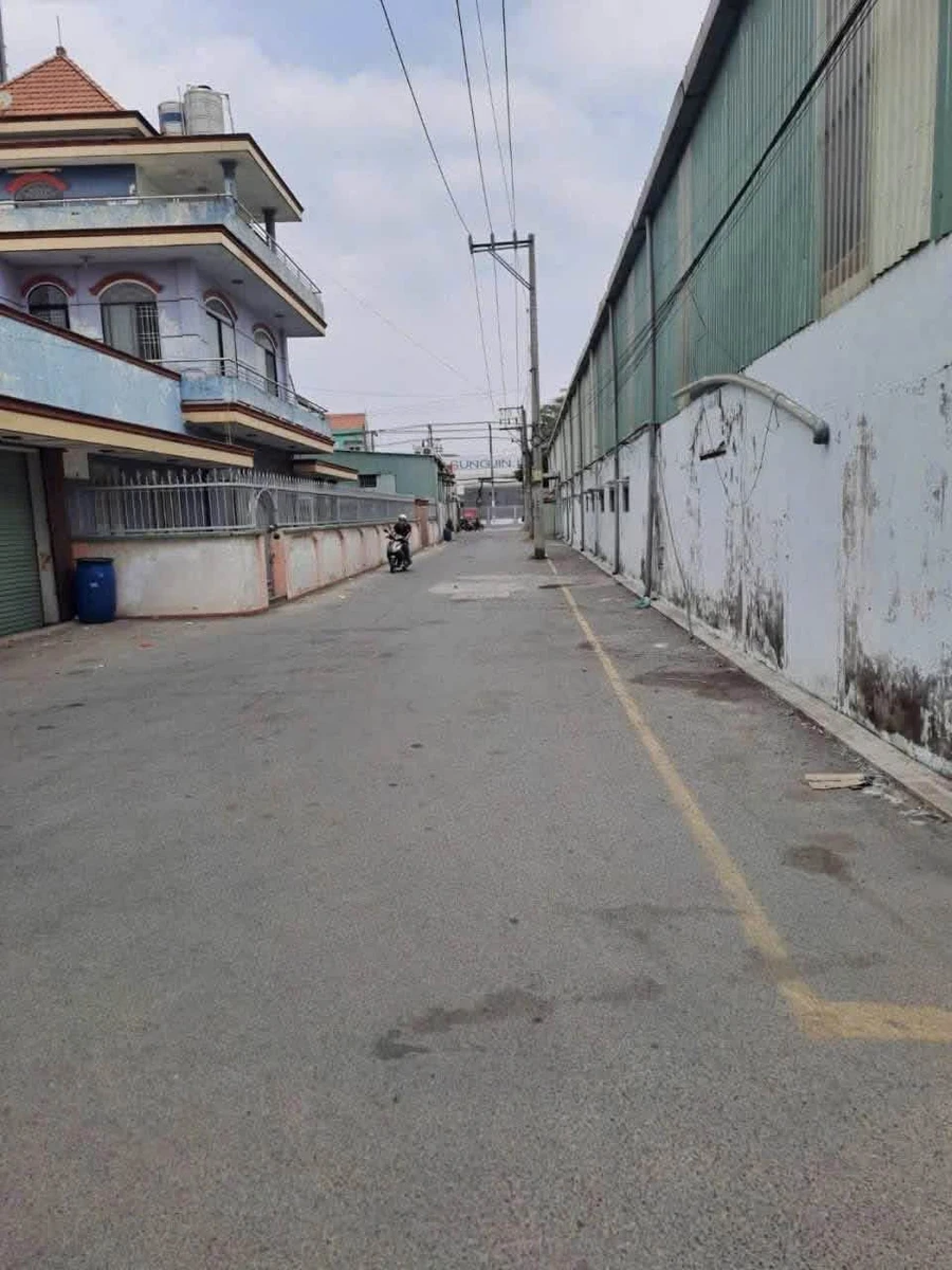 Bán đất Bình Chánh 185m2, 3.2 tỷ - Ảnh thu nhỏ 2