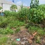 Bán đất thổ cư 5x23m sổ hồng riêng giá 1,2 tỷ tại Ấp Mới 1, Mỹ Hạnh Nam - Ảnh thu nhỏ 1