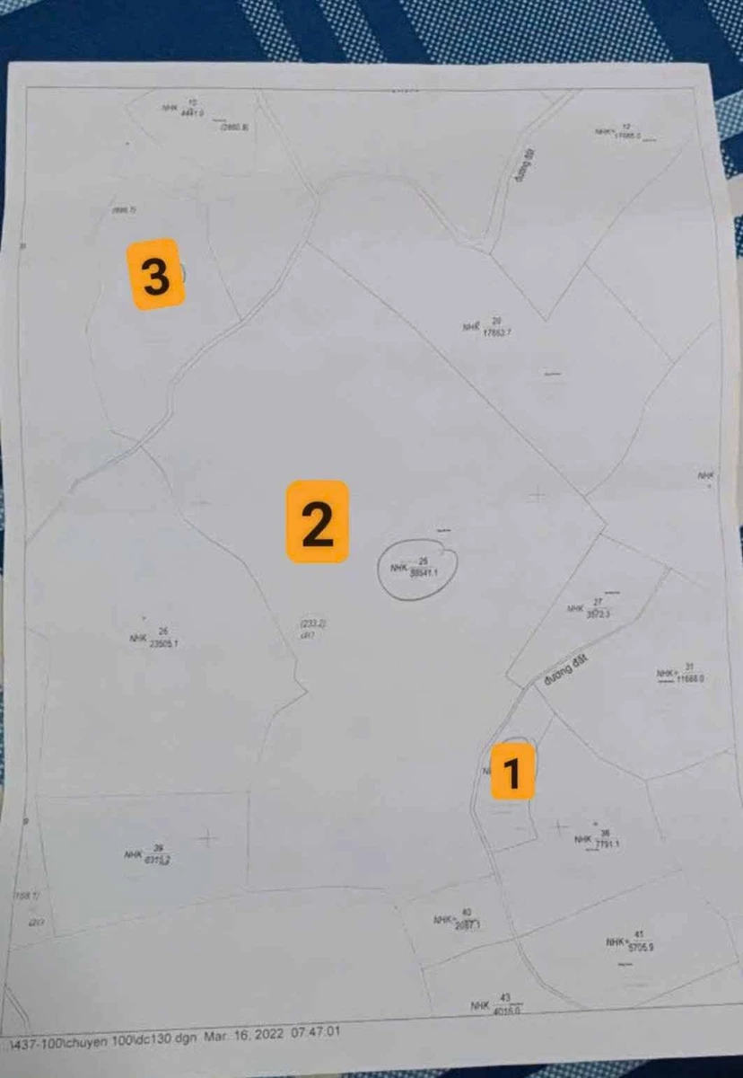 Bán 6,9 hecta đất Đắk Mil, Đắk Nông, 199 triệu/hecta - Ảnh thu nhỏ 2