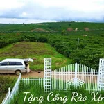 Bán đất nền 91m2 Lâm Đồng, giá 727 triệu, sổ hồng riêng - Ảnh thu nhỏ 2