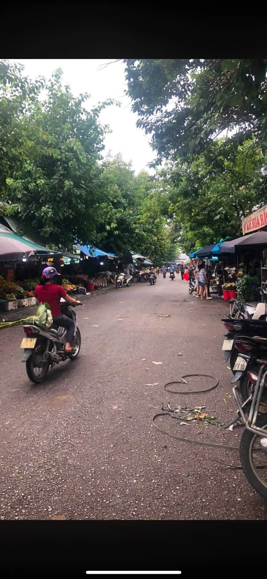 Bán đất mặt tiền 102m² Nguyễn Duy Hiệu, Đông Hương - Ảnh 1