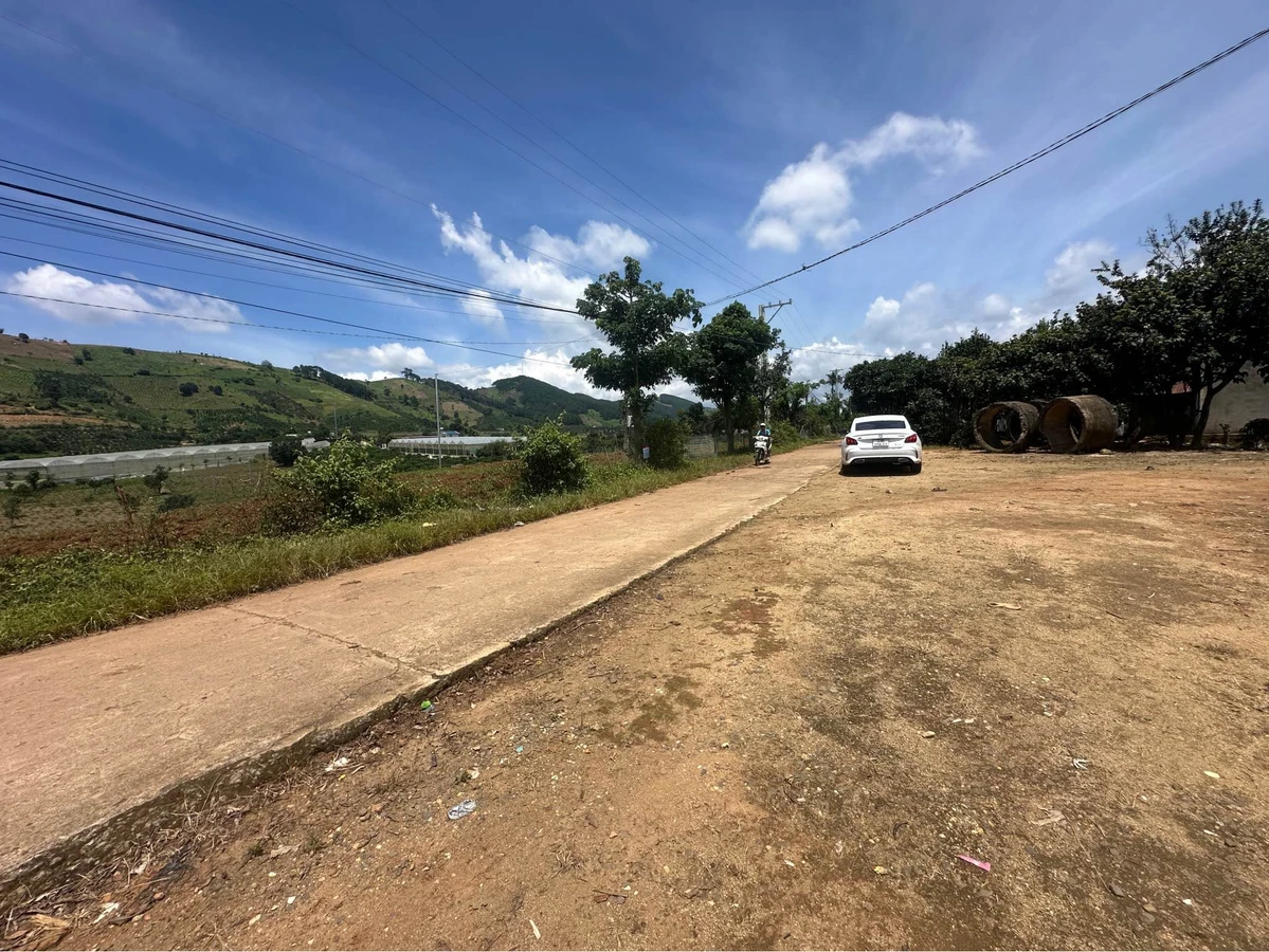 Bán đất view đồi thông Đà Lạt, sẵn sổ, 839m² và 1098m² - Ảnh thu nhỏ 2