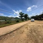 Bán đất view đồi thông Đà Lạt, sẵn sổ, 839m² và 1098m² - Ảnh thu nhỏ 2