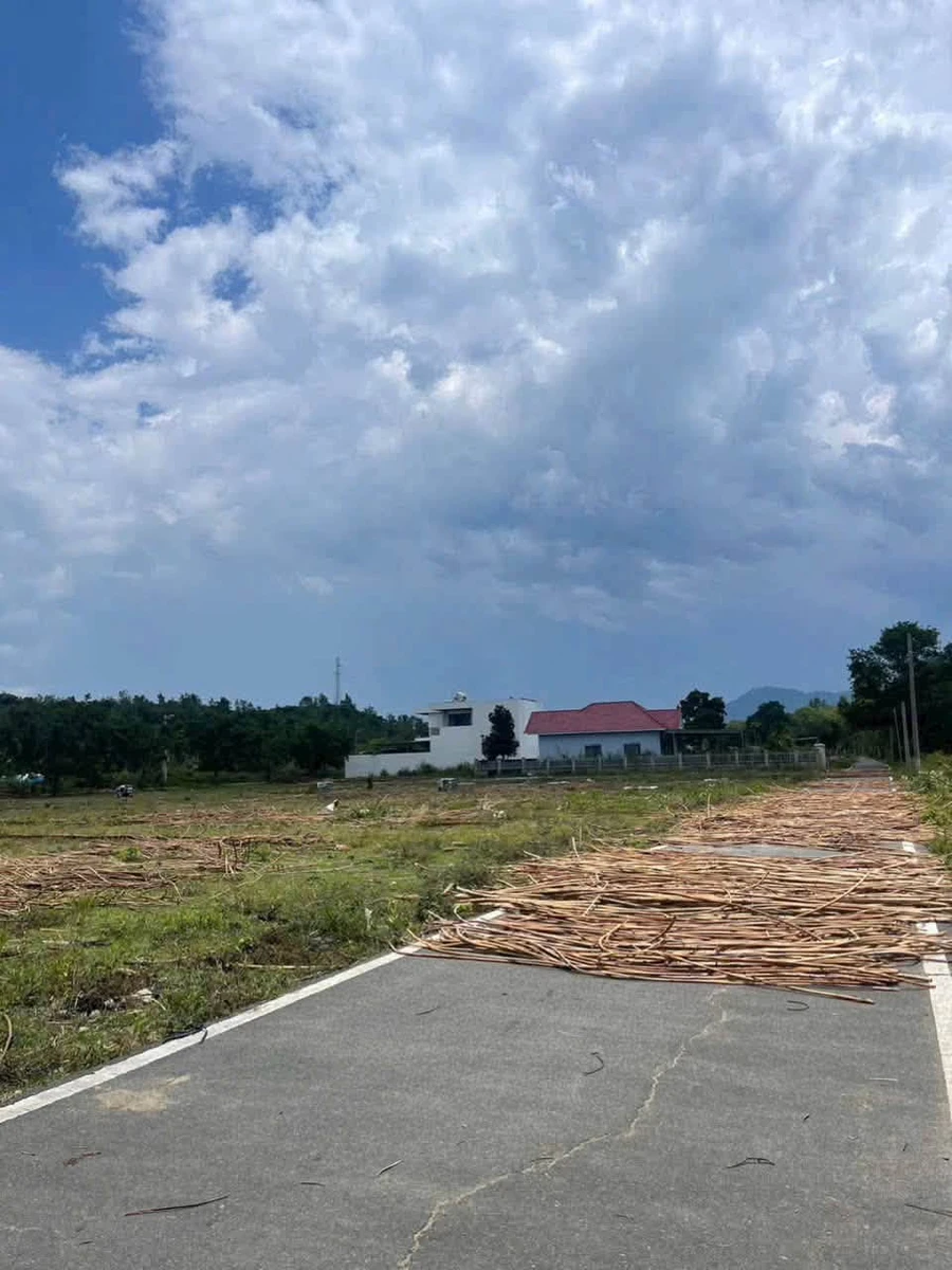 Bán đất full thổ cư 150m² mặt tiền đường nhựa Diên Khánh - Ảnh 1