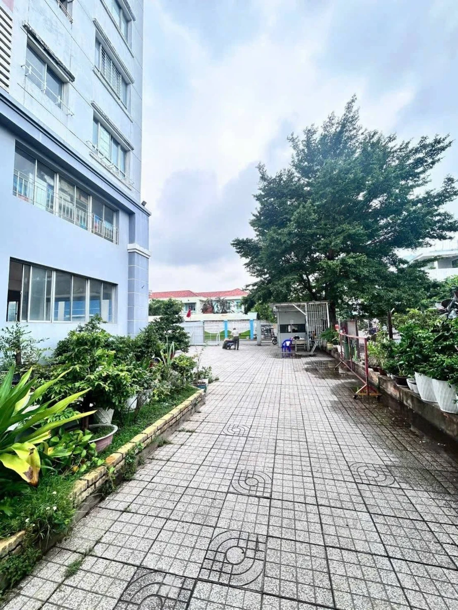 Bán căn hộ Bông Sao A 48.6m2 1PN Quận 8 2.58 tỷ - Ảnh thu nhỏ 2