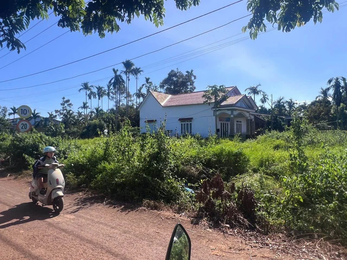 Bán lô đất hẻm 205, Nguyễn Thái Bình, Bình Tân, 100m2, 1 tỷ - Ảnh thu nhỏ 4