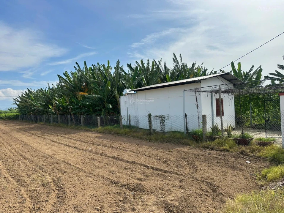Bán 1552m2 đất vườn có nhà - Lương Cang, Đông Vinh - Phan Rang - 990tr bao sổ - Ảnh thu nhỏ 3