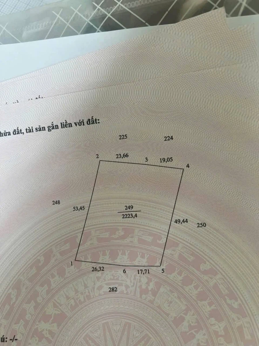 Bán đất Vườn An Khánh Bến Tre 2.223m² sổ hồng riêng - Ảnh thu nhỏ 2