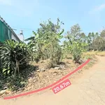 Bán đất hồng 1000m2 Phường Long Hưng, Đồng Nai - Ảnh thu nhỏ 3