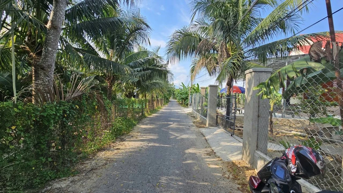 Bán đất mặt tiền 338m2 Diên Thọ Khánh Hòa 779 triệu - Ảnh 1