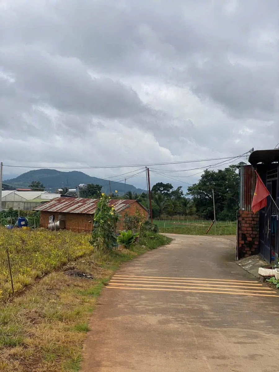 Bán đất 1.600m2 Hiệp Thạnh 2 tỷ 8 - Ảnh thu nhỏ 2
