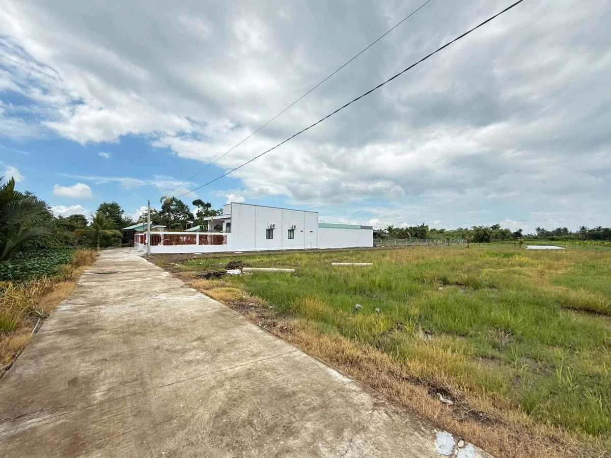 Bán đất lúa và vườn 4000m2 xã Vàm Cỏ, Tây Ninh, giá 450 triệu/1000m2 - Ảnh thu nhỏ 3