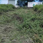 Bán lô đất 100 m² mặt nhựa KDC Bến Lội Lại An, Bình Thuận - Ảnh thu nhỏ 2