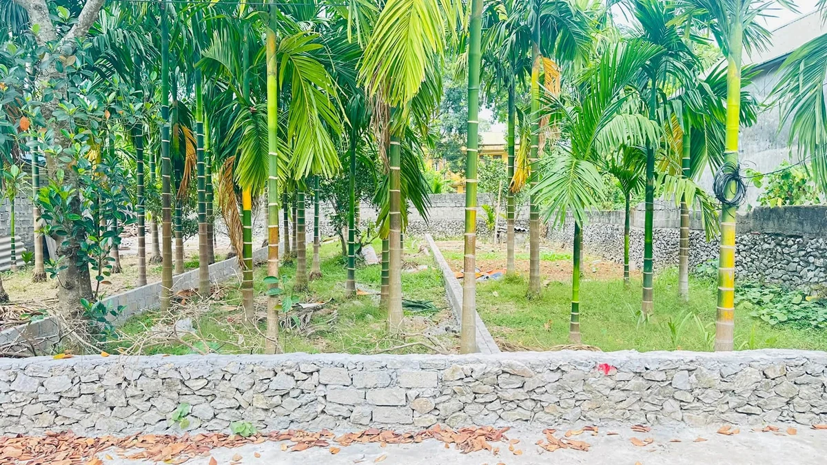 Bán đất nền 230m² tại Cao Dương, Phú Thọ - Ảnh thu nhỏ 5
