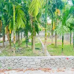 Bán đất nền 230m² tại Cao Dương, Phú Thọ - Ảnh thu nhỏ 5