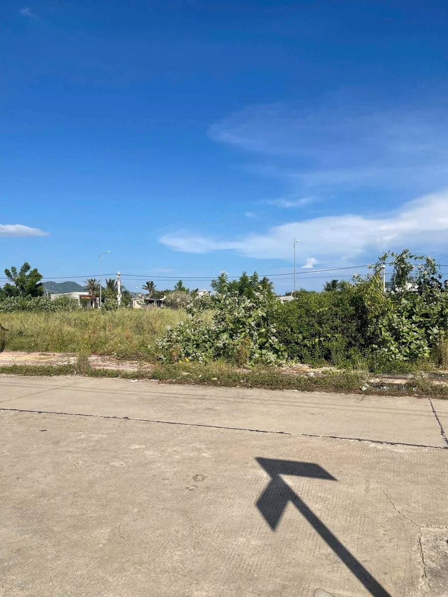Bán 2 lô đất tái định cư 97,5m² giá 1 tỷ 580 triệu - Ảnh thu nhỏ 2