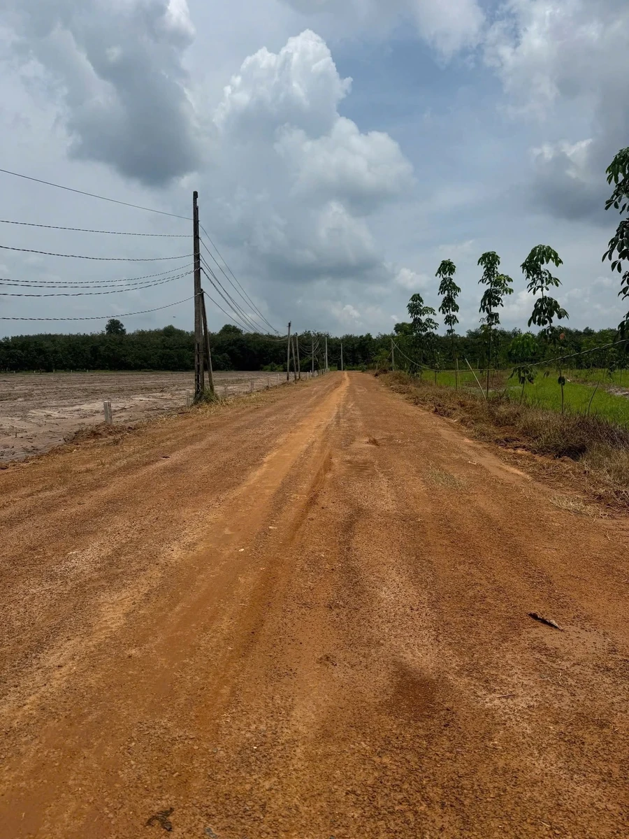 Bán đất 400m² Đông Dài Tân Bình 4 tỷ - Ảnh 1