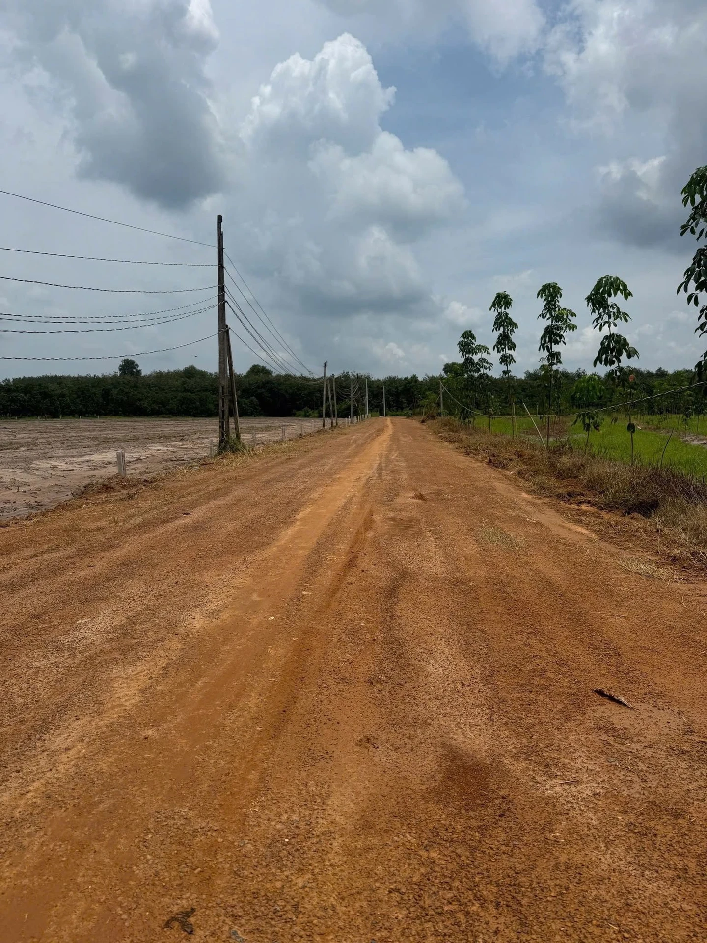 Bán đất 400m² Đông Dài Tân Bình 4 tỷ - Ảnh 1