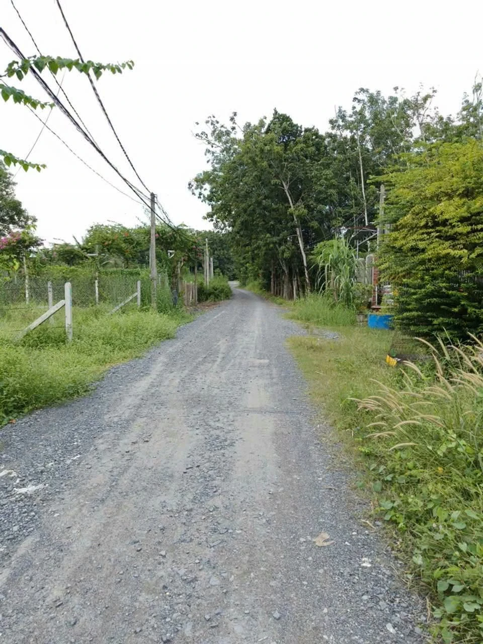 Bán đất nền 5x20m tại Phường Long Hòa, Tây Ninh, 350 triệu - Ảnh 1