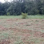 Bán đất SKC 4.000m² Dầu Tiếng 6,9 tỷ - Ảnh thu nhỏ 2