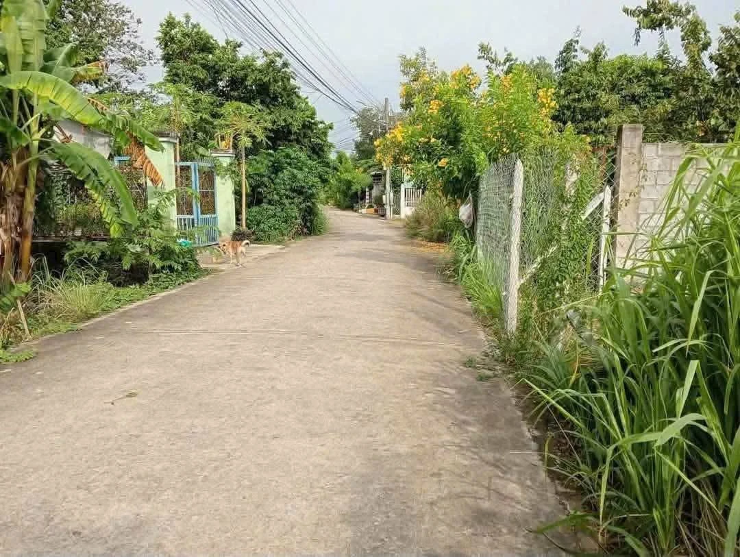 Bán đất thổ cư 100m2 đường nhánh Bà 39, Phú An giá 1,45 tỷ - Ảnh 1