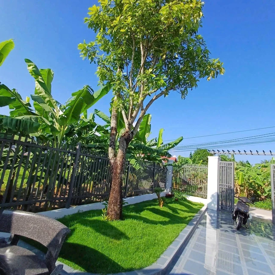 Bán nhà vườn Bình Lộc 373.7m² 2PN giá 1tỷ850tr - Ảnh thu nhỏ 5