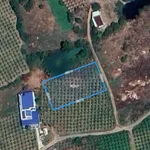 Bán đất Sào Hàm Kiệm 1182m2, giá 940 triệu - Ảnh thu nhỏ 4