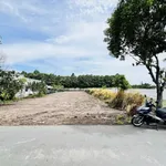 Bán đất thổ cư 8x40 nở hậu mặt tiền đường nhựa 218, Tân Thông Hội, Củ Chi - Ảnh thu nhỏ 1