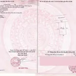Bán đất mặt tiền đường Nguyễn Du 190m2, thổ cư 100%, Thị trấn Tân Hưng, Long An - Ảnh thu nhỏ 3