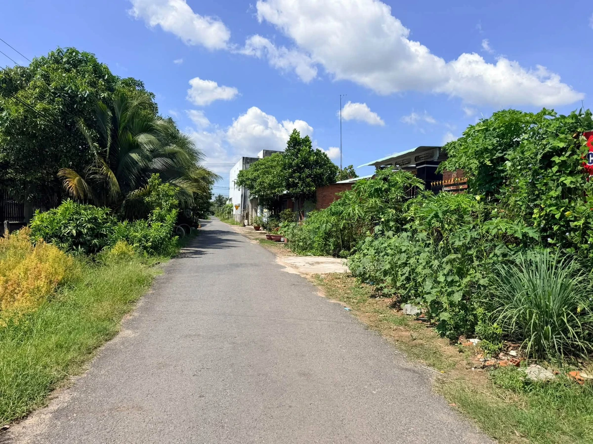 Bán đất Cây Da Gò Dầu 200m² 680 triệu - Ảnh thu nhỏ 3