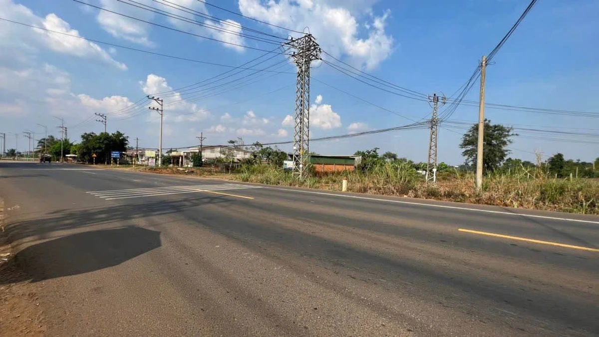 Bán đất 1000m² mặt tiền Quốc Lộ 14 làm kho bãi - Ảnh thu nhỏ 2