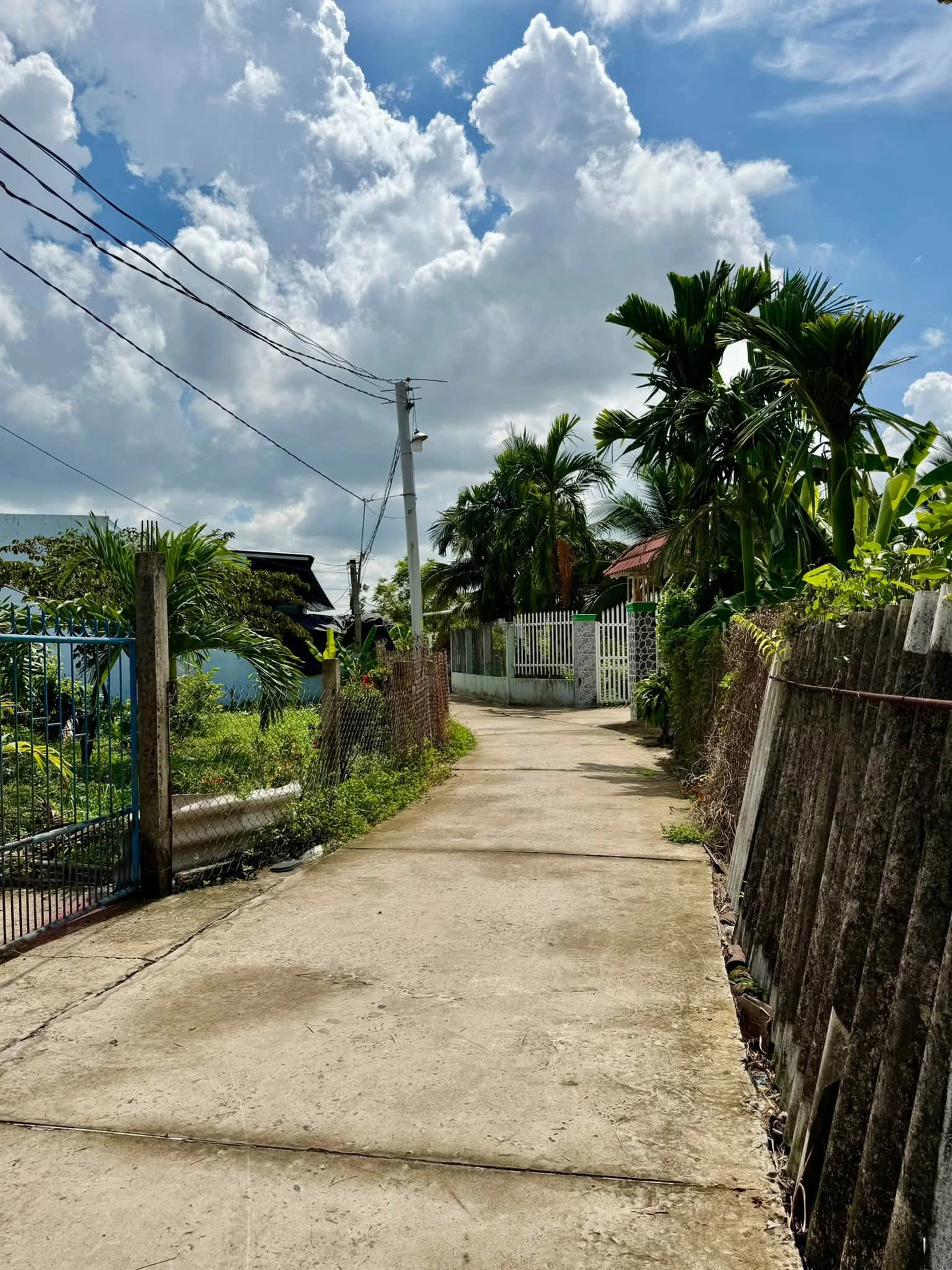 Bán đất thổ cư 5x39m giá 750 triệu tại An Vĩnh Ngãi, Phường Tân An, Tây Ninh - Ảnh 1