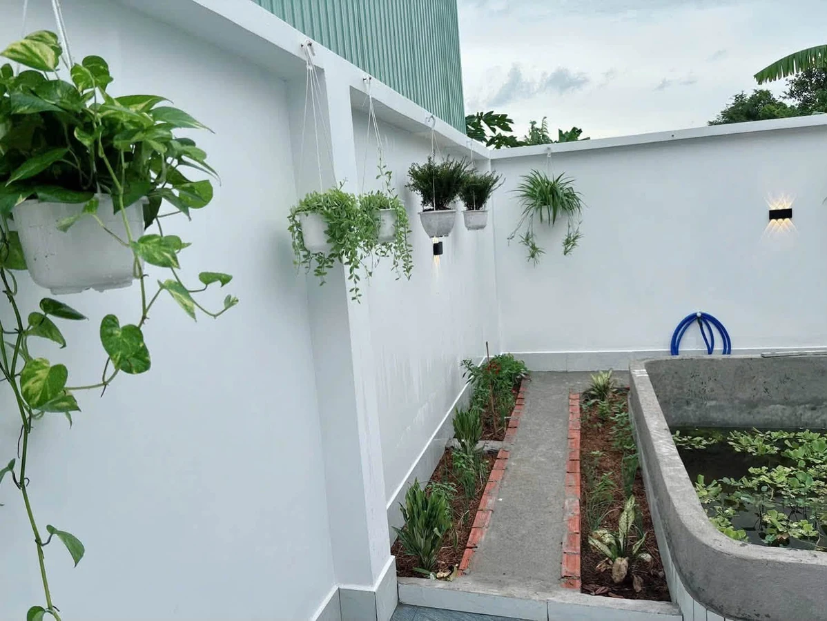 Bán nhà cấp 4 sân vườn 184m² Cần Giuộc 2,45 tỷ - Ảnh thu nhỏ 2
