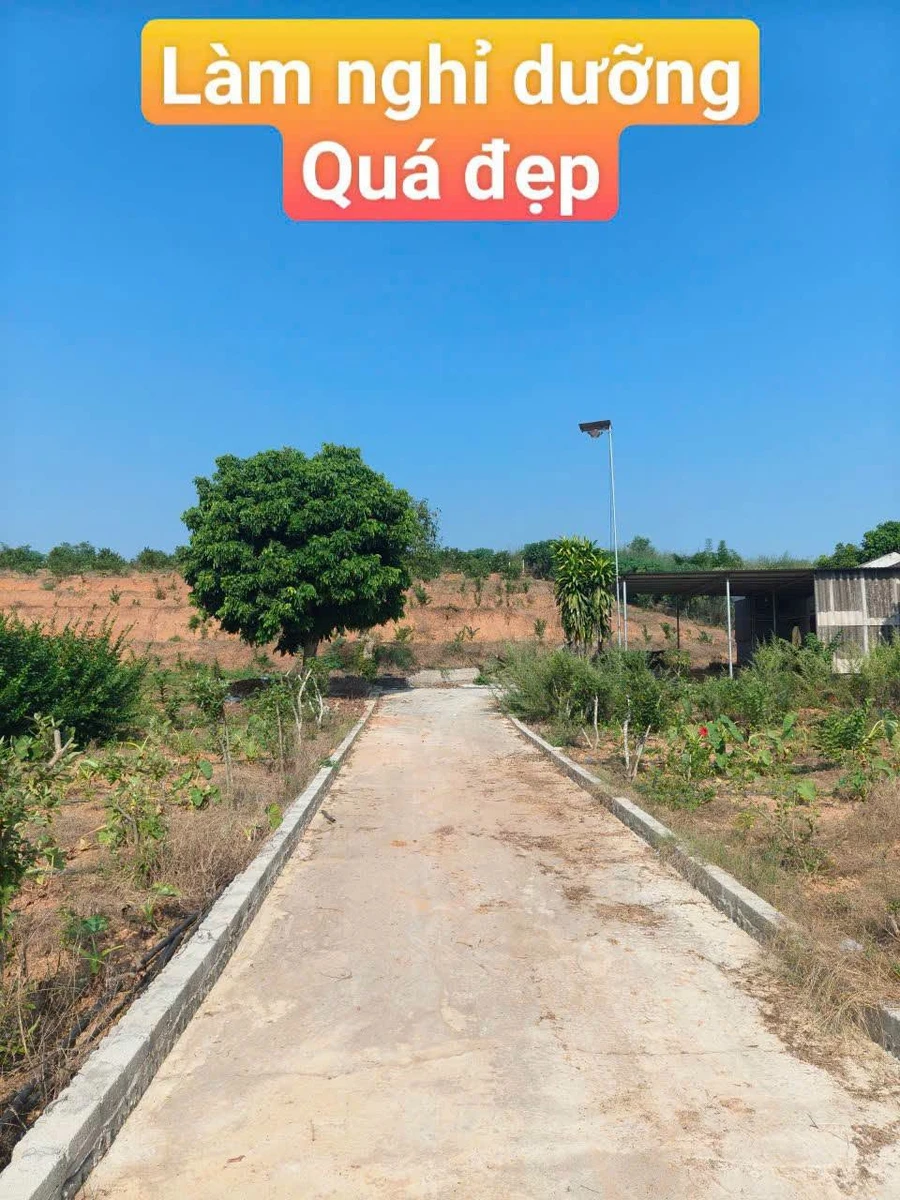 Bán đất 7620m² tại Nam Dương, Lục Ngạn, Bắc Giang - Ảnh 1