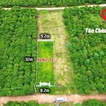 Bán đất nền 91m2 Lâm Đồng, giá 727 triệu, sổ hồng riêng - Ảnh thu nhỏ 4