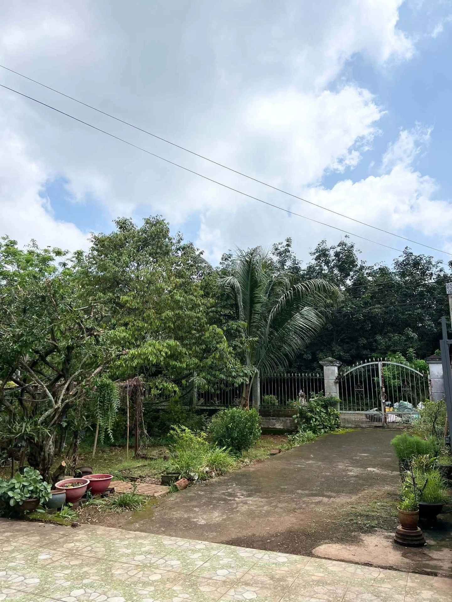 Nhà vườn bán 700m² 3 phòng ngủ Phường Xuân Lập Long Khánh - Ảnh 1