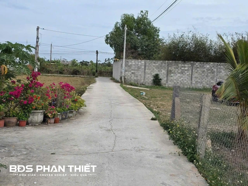 Bán đất 1.000 m² quy hoạch thổ cư, Kim Bình, Phan Thiết