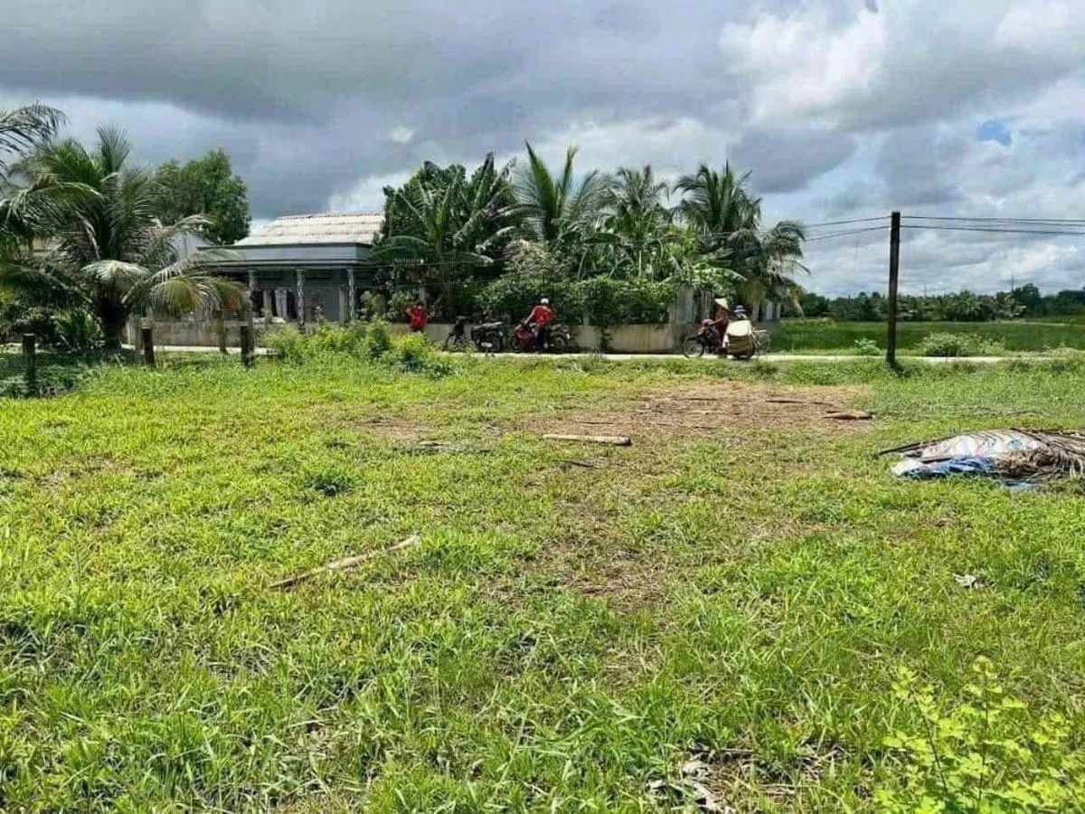 Bán đất thổ cư 5x60m (300m2) Ấp 1 Long Định, Cần Đước, Long An gần KCN Thuận Đạo - Ảnh thu nhỏ 4