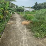 Bán đất 1,173m² xã Phú Hưng Bến Tre 670 triệu - Ảnh thu nhỏ 3